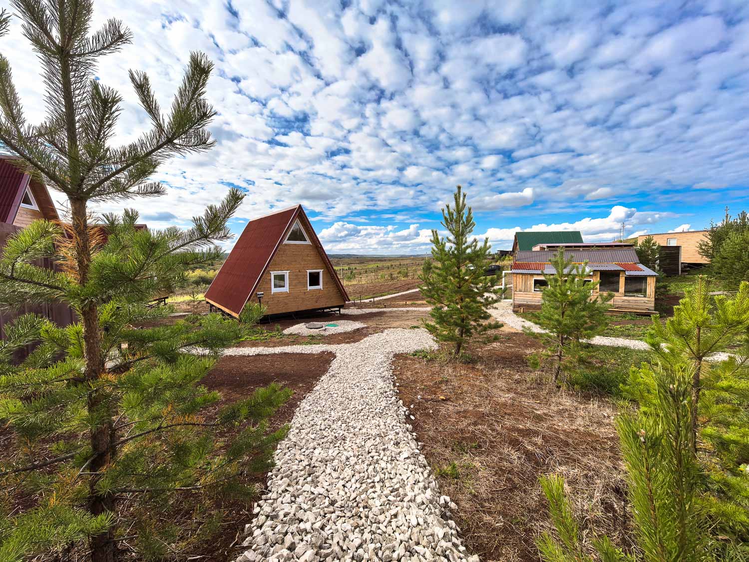 Фото Елки Иголки