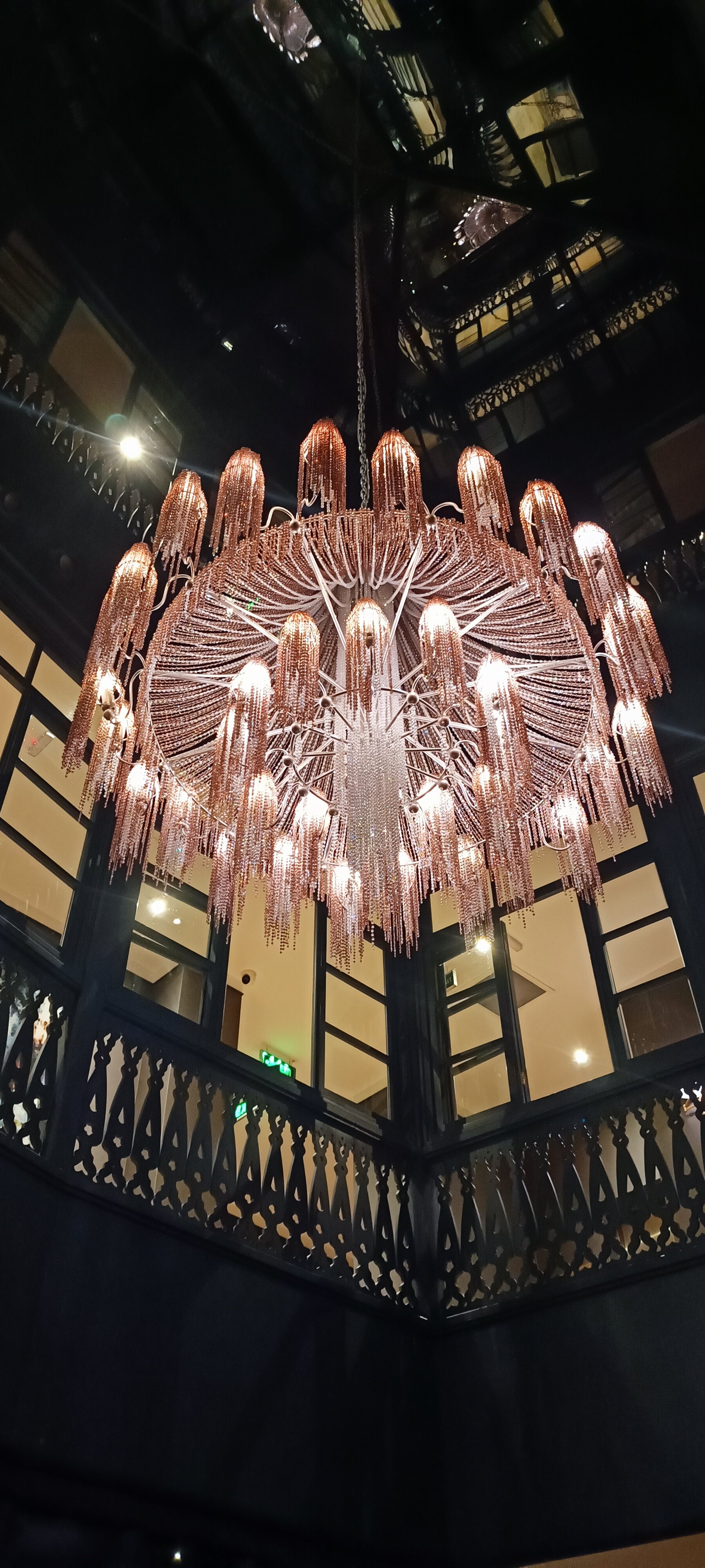 Фото Puris Moedani