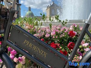 Гостиница Phoenix Copenhagen by Arp-Hansen Hotel Group