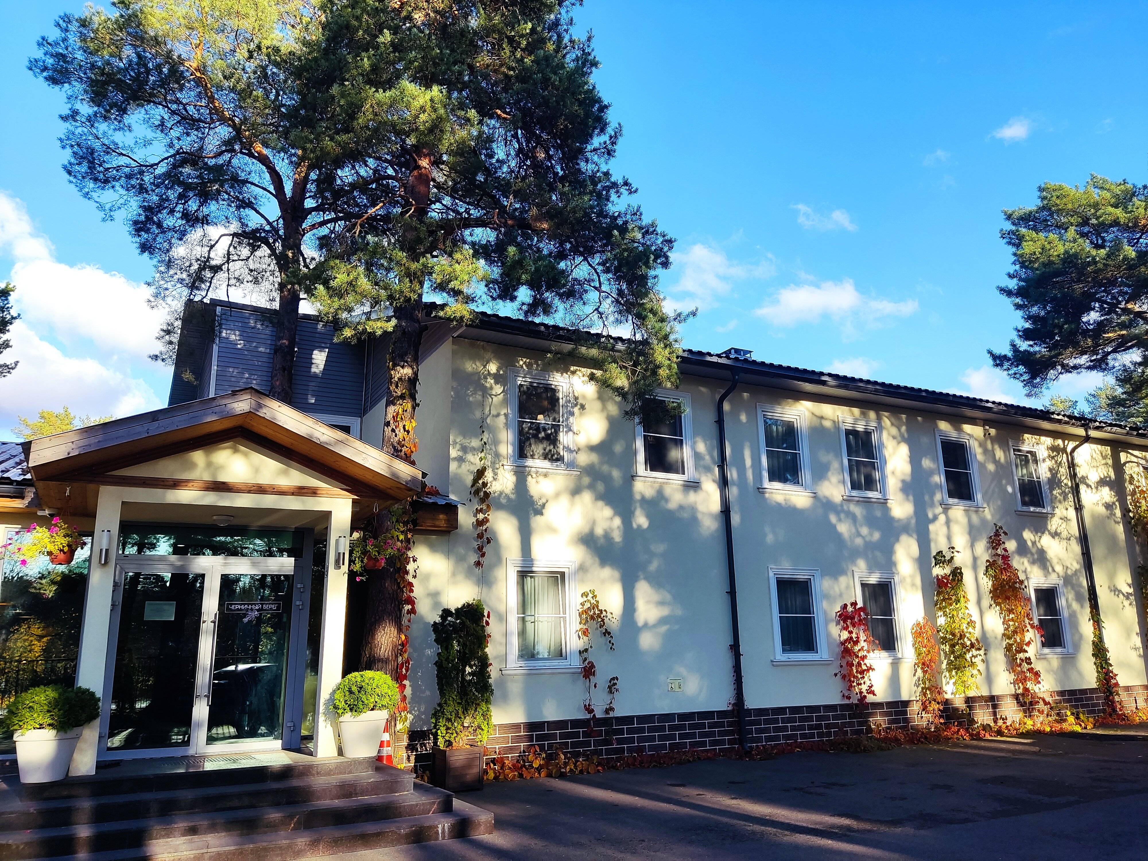 Фото Черничный Берег