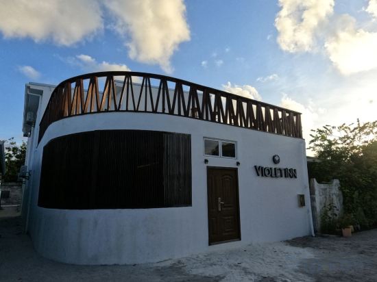 Фото Violet Inn Hotel