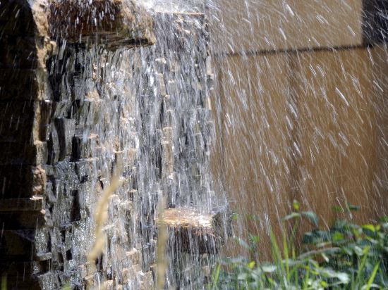 Фото Sheraton Toronto Airport Hotel & Conference Centre