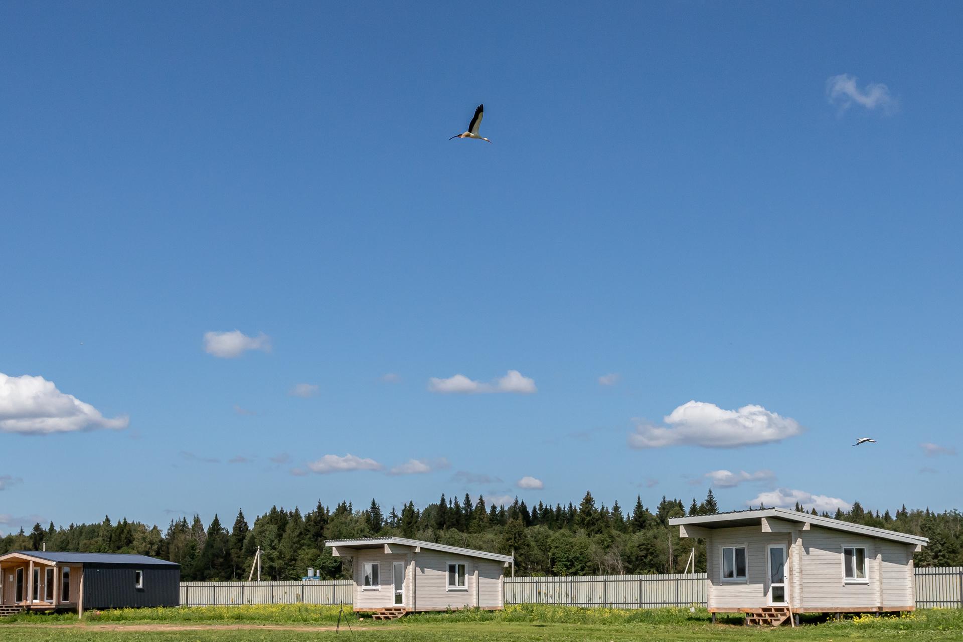Фото Парк Самуйлово