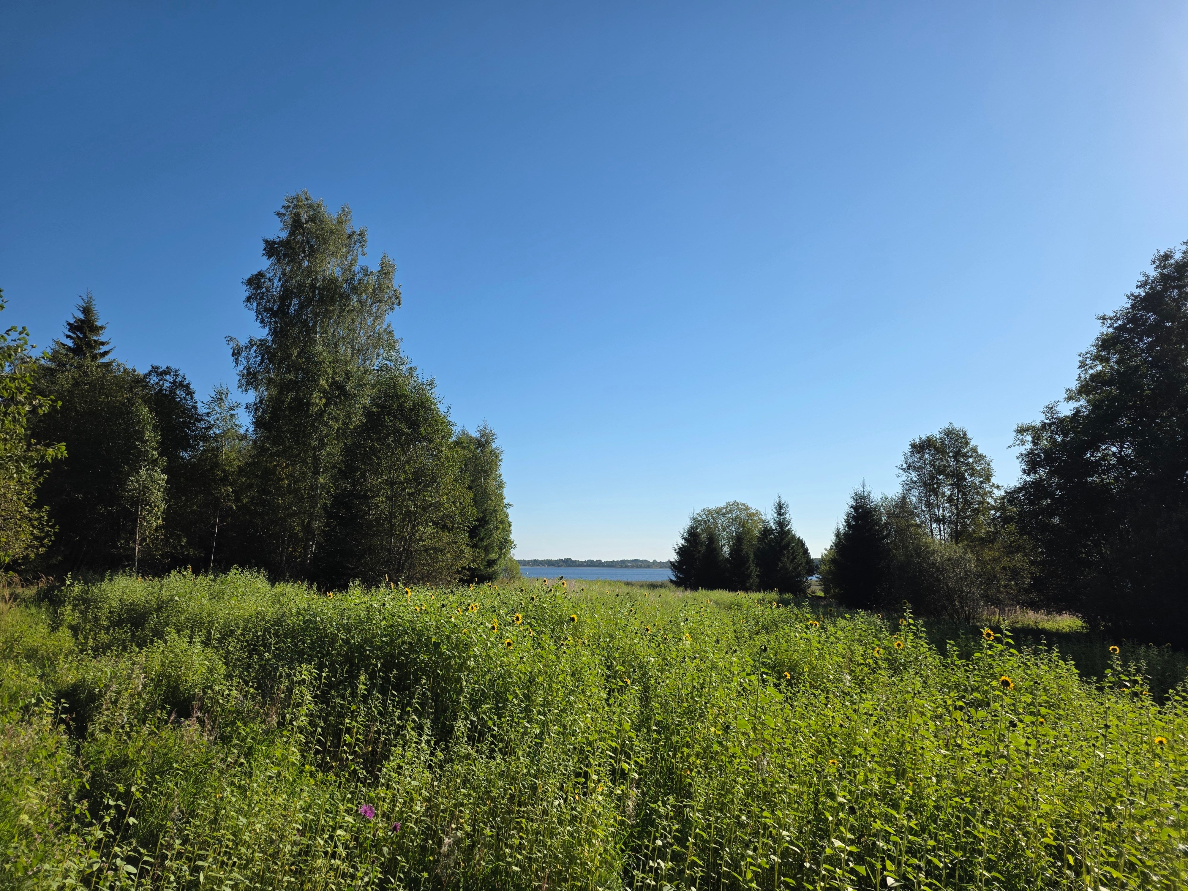 Фото Тарасовская слобода