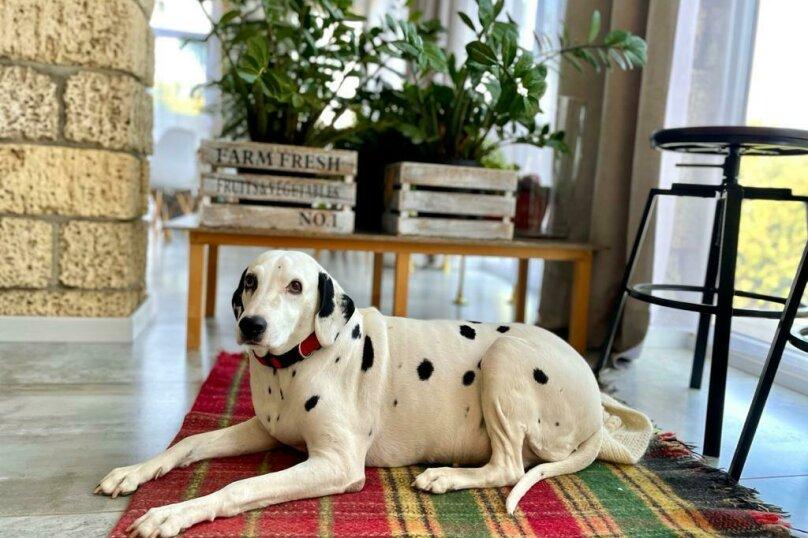 Фото Вилла Лаванда