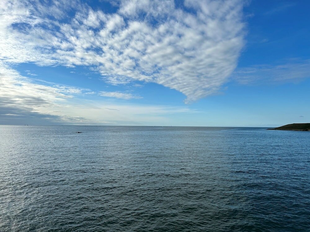 Фото Marina Metro Hotel