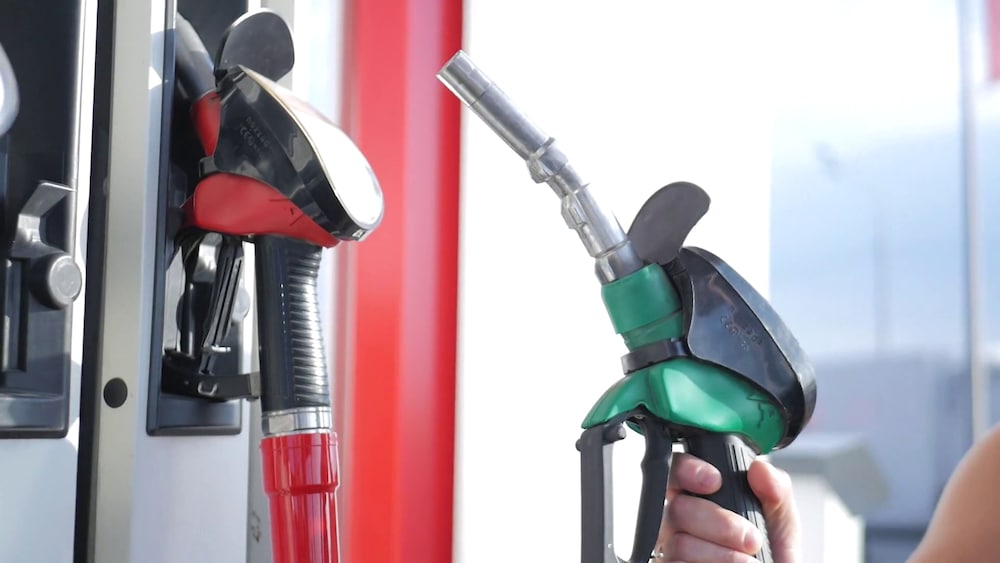 Фото Holiday Inn Express Tampa N I-75 - University Area, an Ihg Hotel