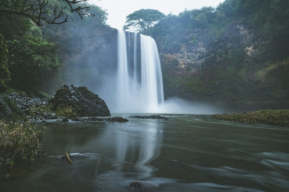 Фото Grand Hyatt Kauai Resort and SPA