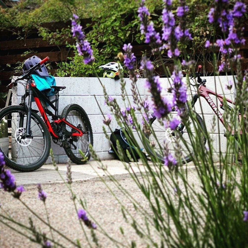 Фото Ravenscraig Guest House