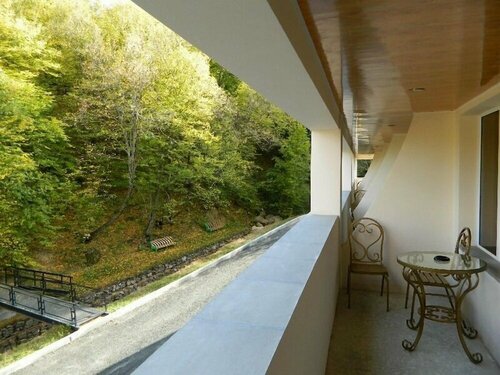 Гостиница Гостиница Цахкаовит в Дилижане