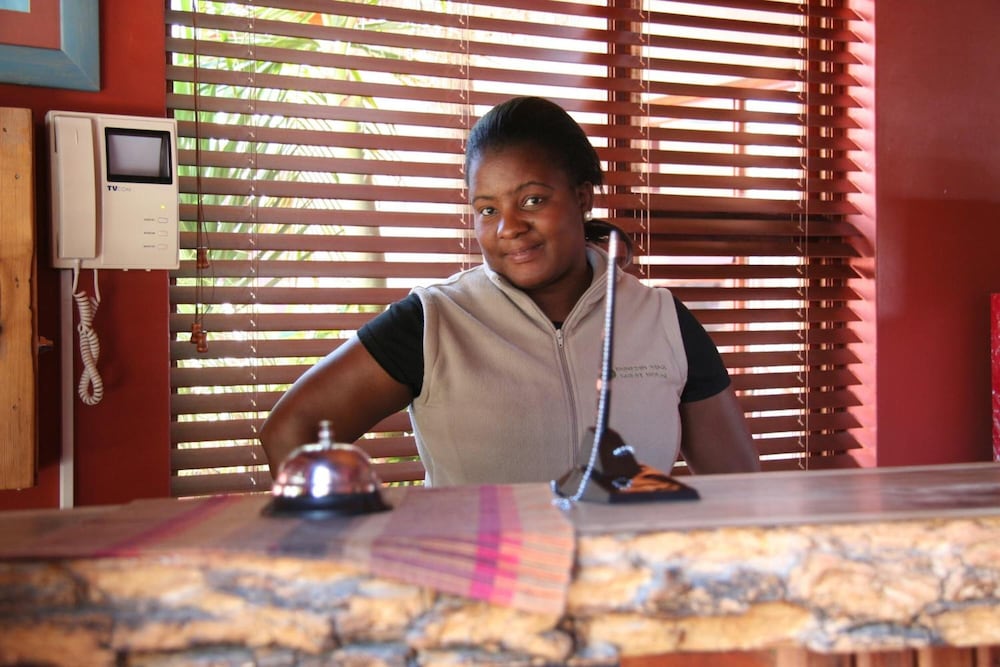 Фото Dunedin Star Guesthouse