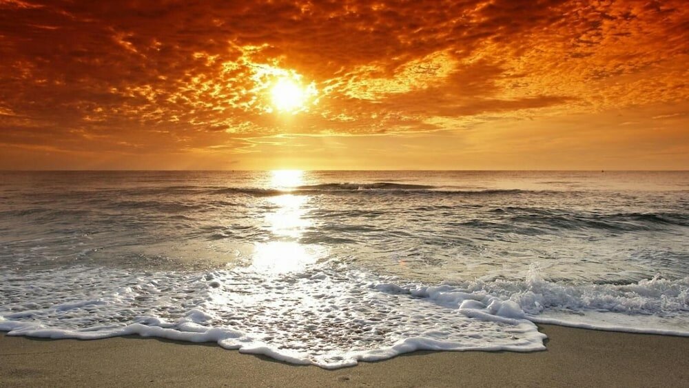 Фото Lyndene Hotel