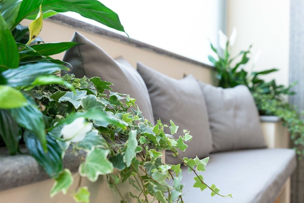 Фото Hotel Silver