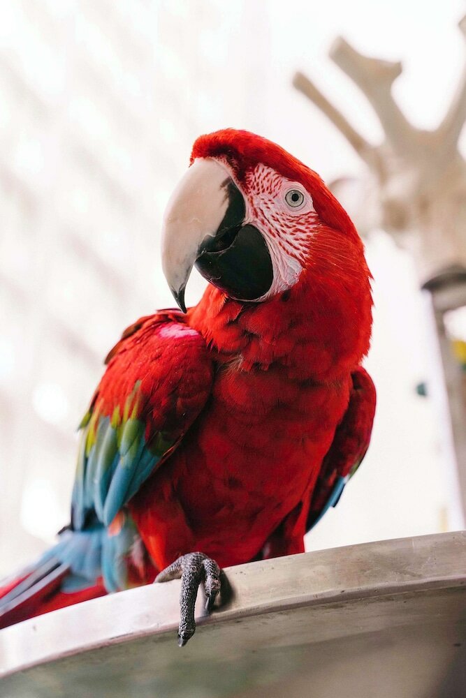 Фото Hyatt Regency Grand Cypress Resort