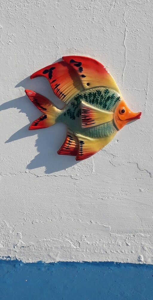 Фото B&b Villa Passiaturo