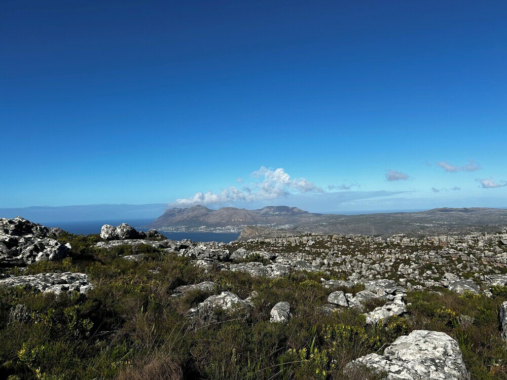 Фото Chartfield Guesthouse