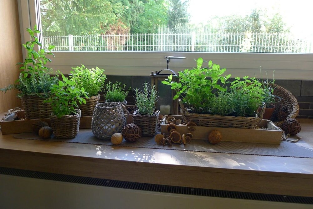 Фото Hotel Mercedes