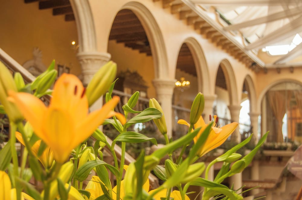 Фото Hotel Villa Las Margaritas Sucursal Centro