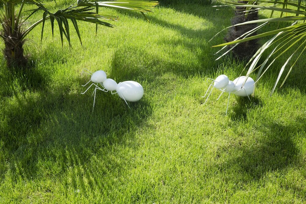 Фото Boutique Hôtel des XV