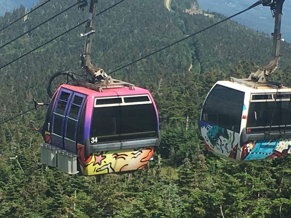 Фото North Star Lodge and Resort