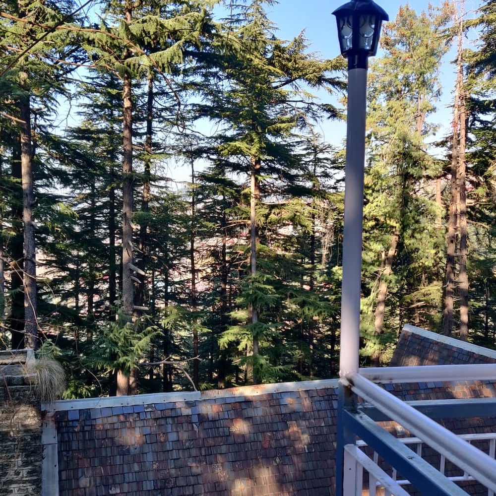 Фото Shimla British Resort
