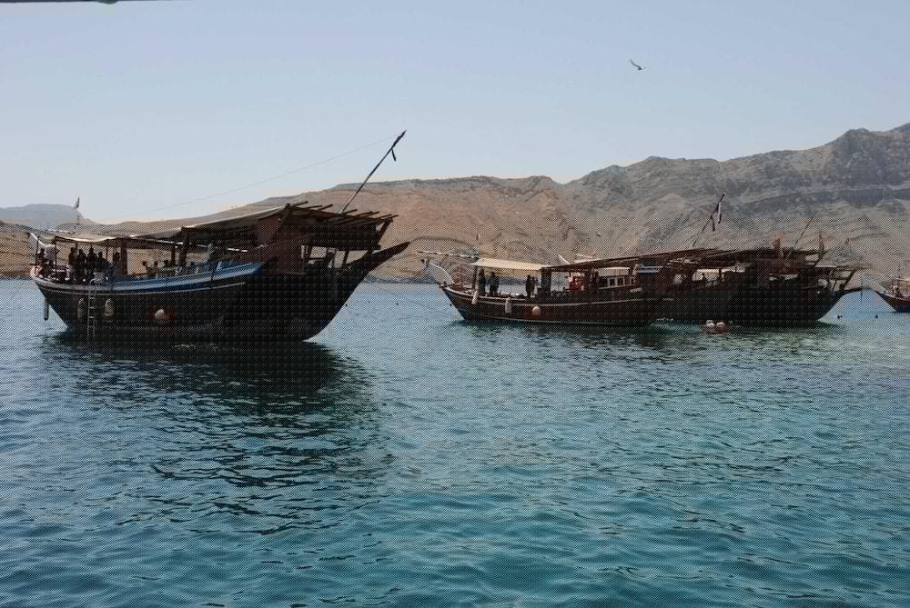 Фото Отель Атана Хасаб