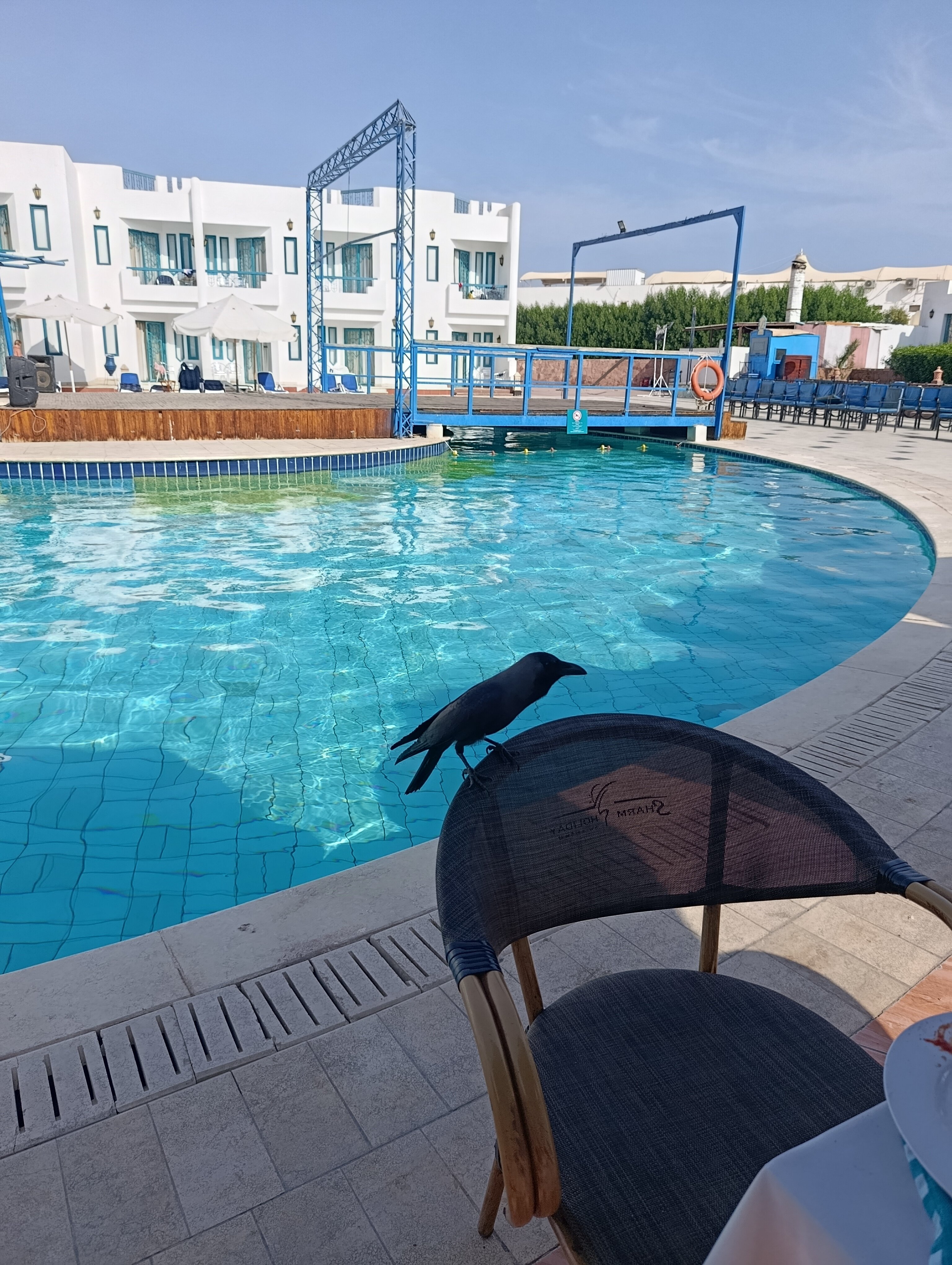 Фото Sharm Holiday Resort