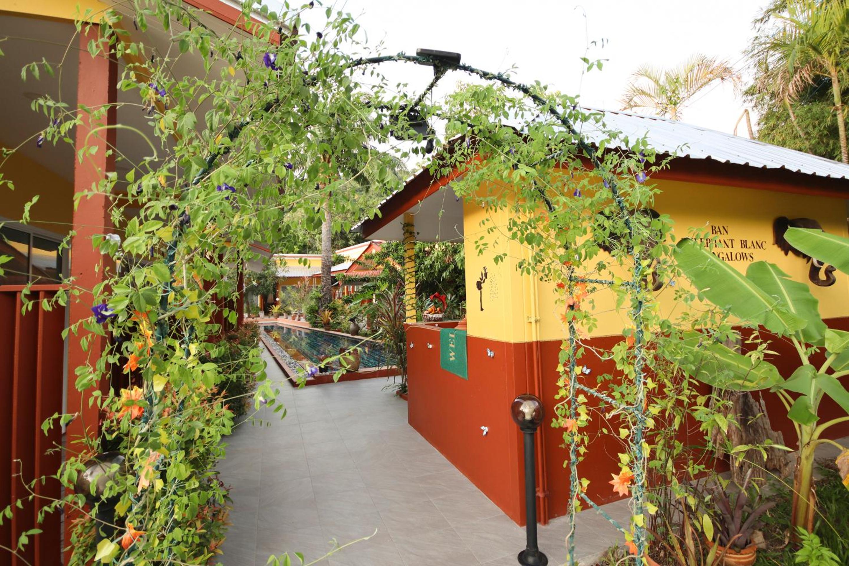 Фото Ban Elephant Blanc Apartment