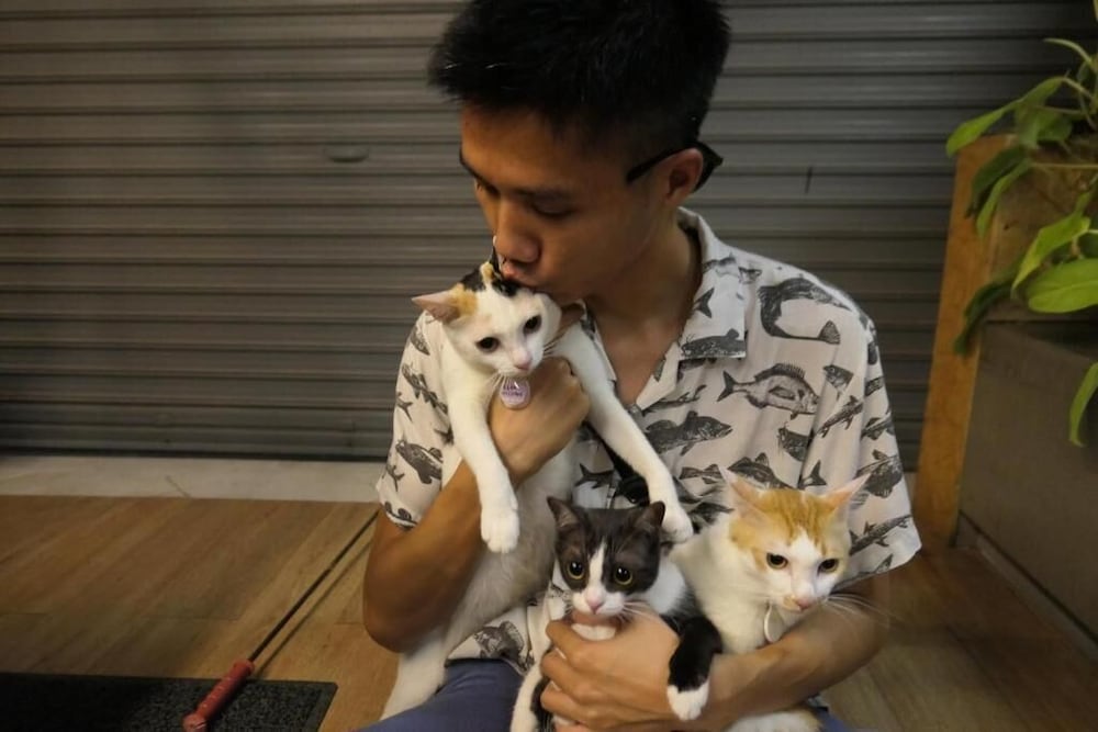 Фото Hugger Hostel - Adults Only