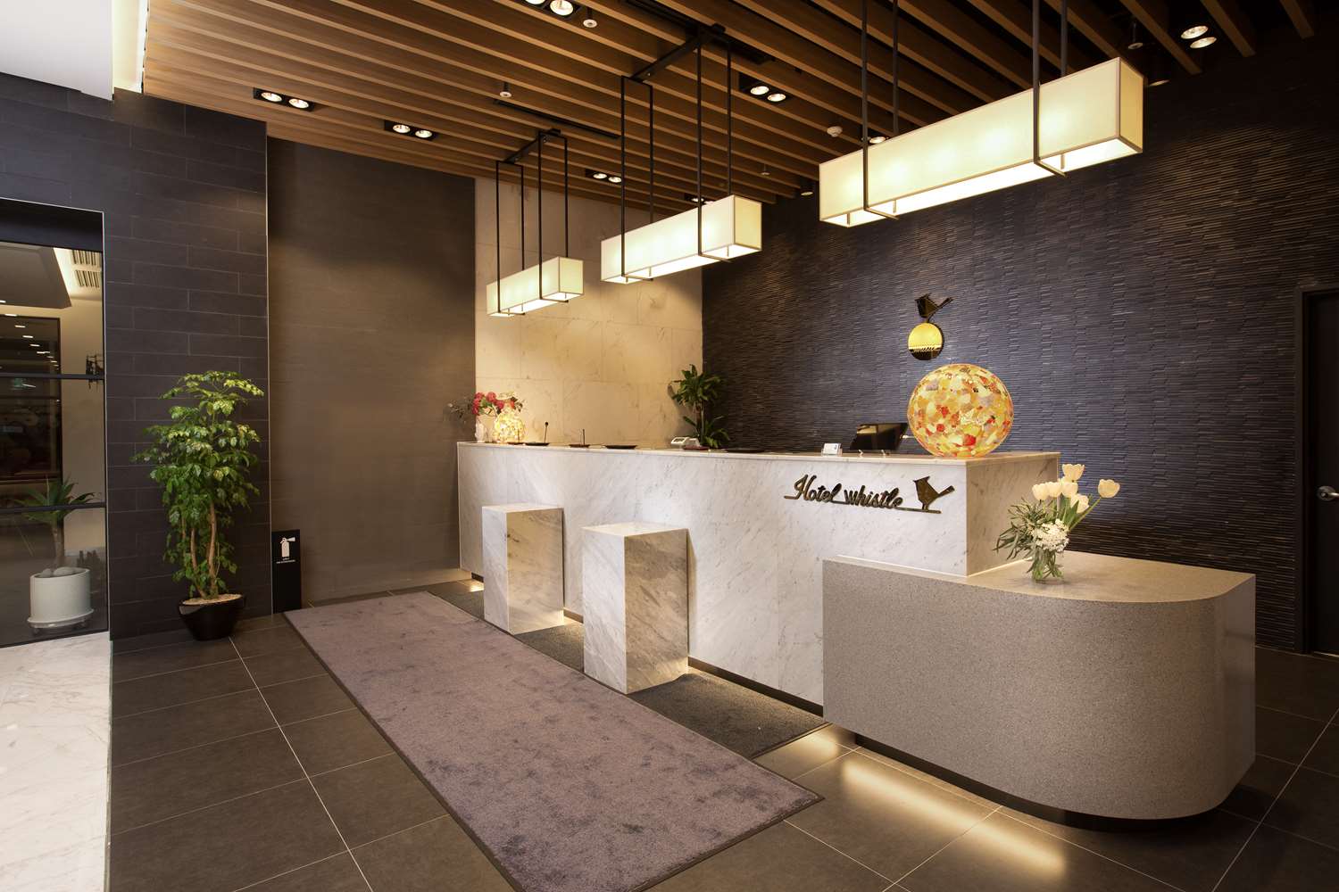 Фото Whistle Lark