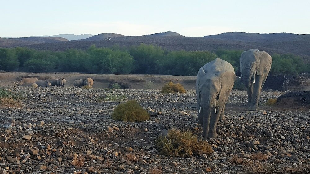 Фото Sanbona Wildlife Reserve