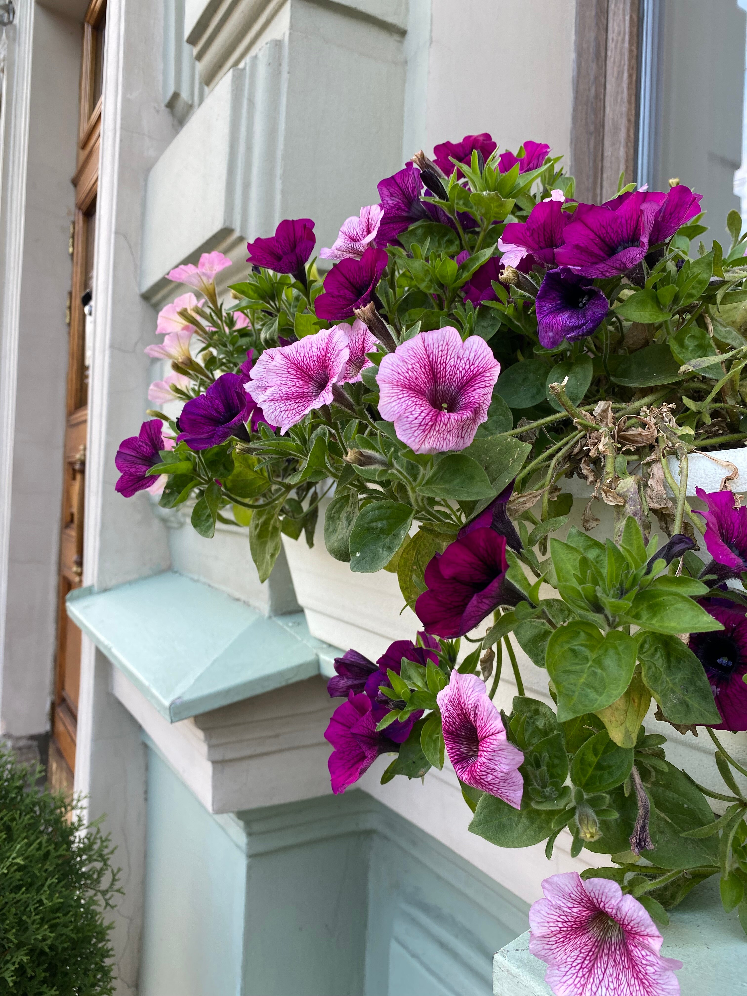 Фото Меркурий