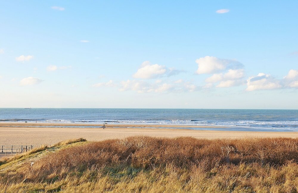 Фото Carlton Beach