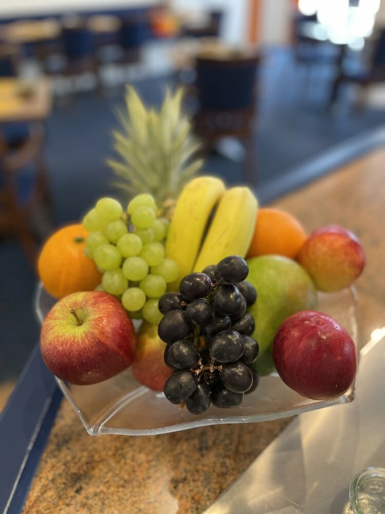 Фото Hotel Alexander am Zoo