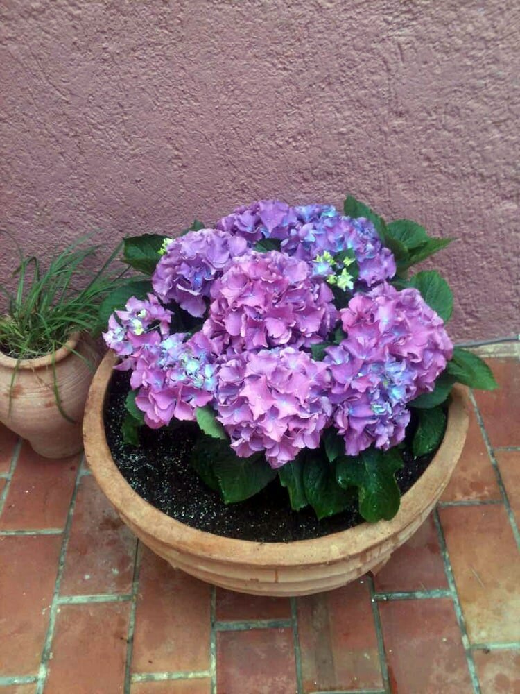 Фото Porto Maltese Boutique Estate