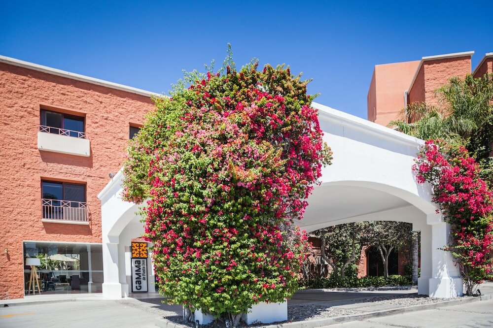 Фото Gamma Tijuana