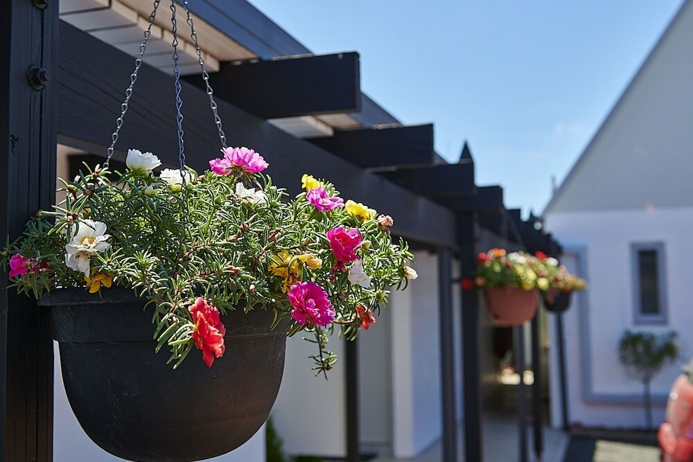 Фото Rolleston Motel