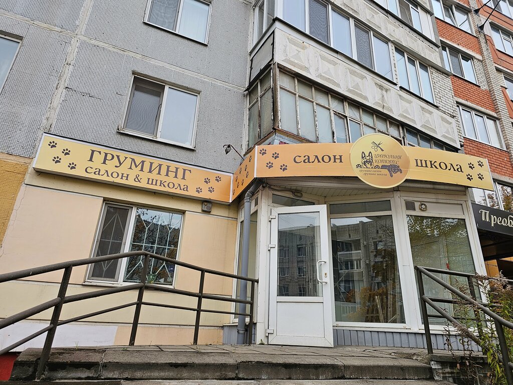 Pet salon Котопес, Bryansk, photo