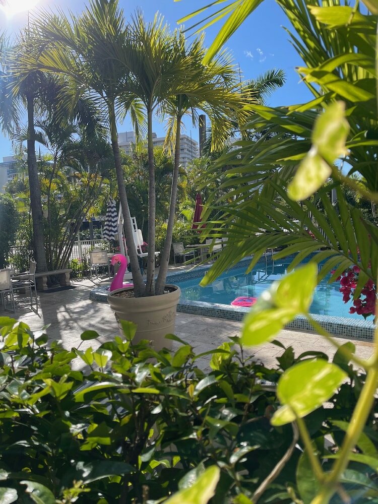 Фото Ocean Mile Hotel