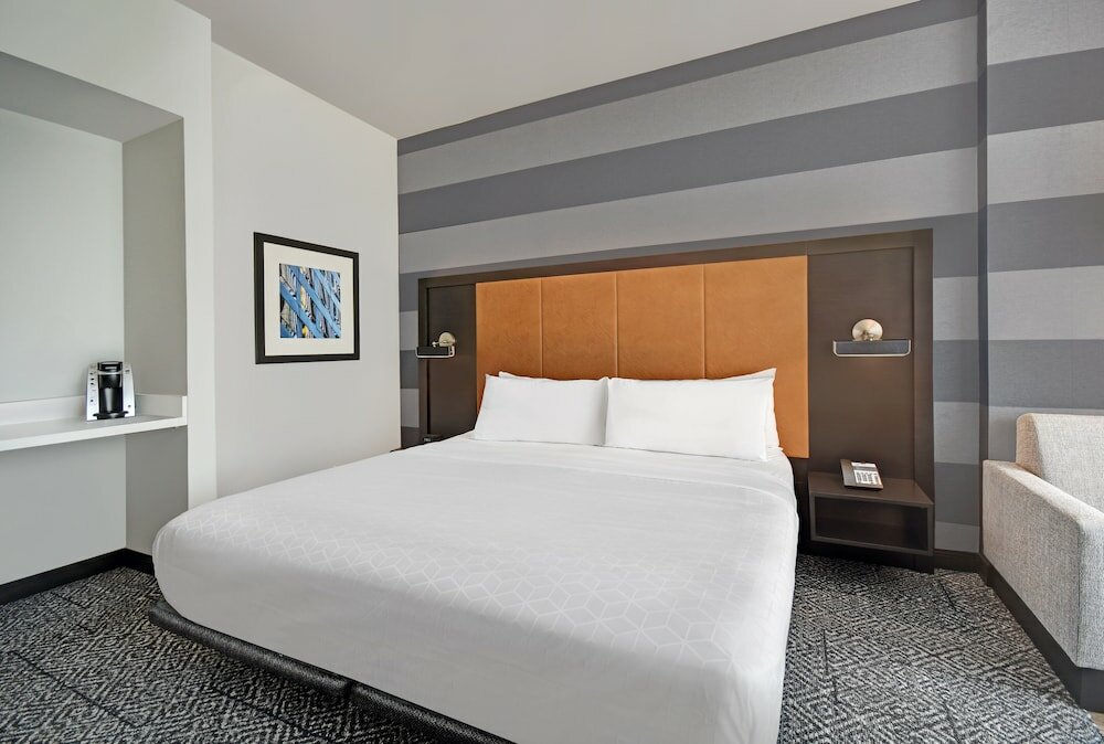 Фото Holiday Inn Express Houston - Galleria Area, an Ihg Hotel