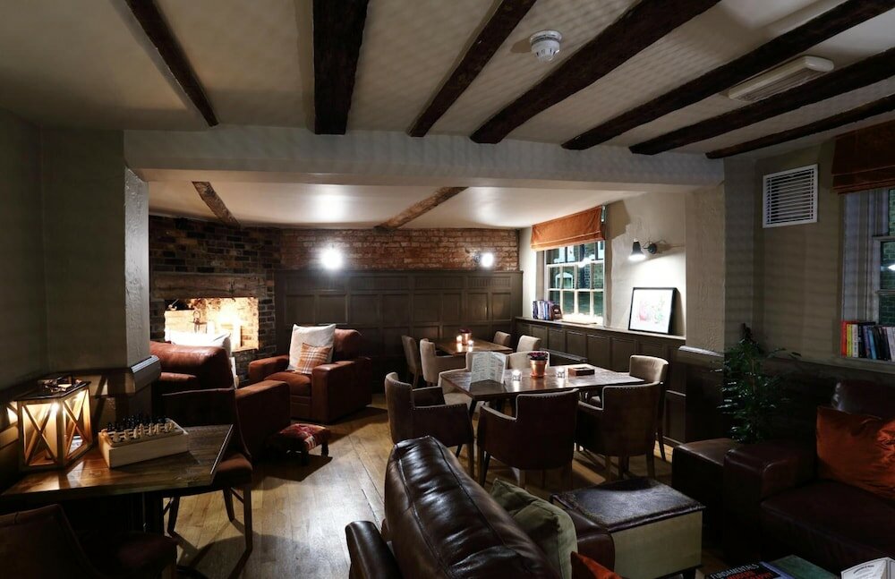 Фото The Loopy Shrew