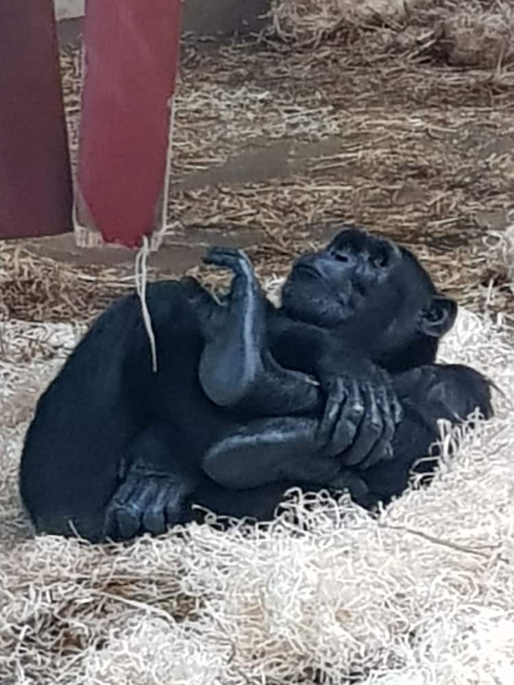 Фото Brunswick Bed & Breakfast