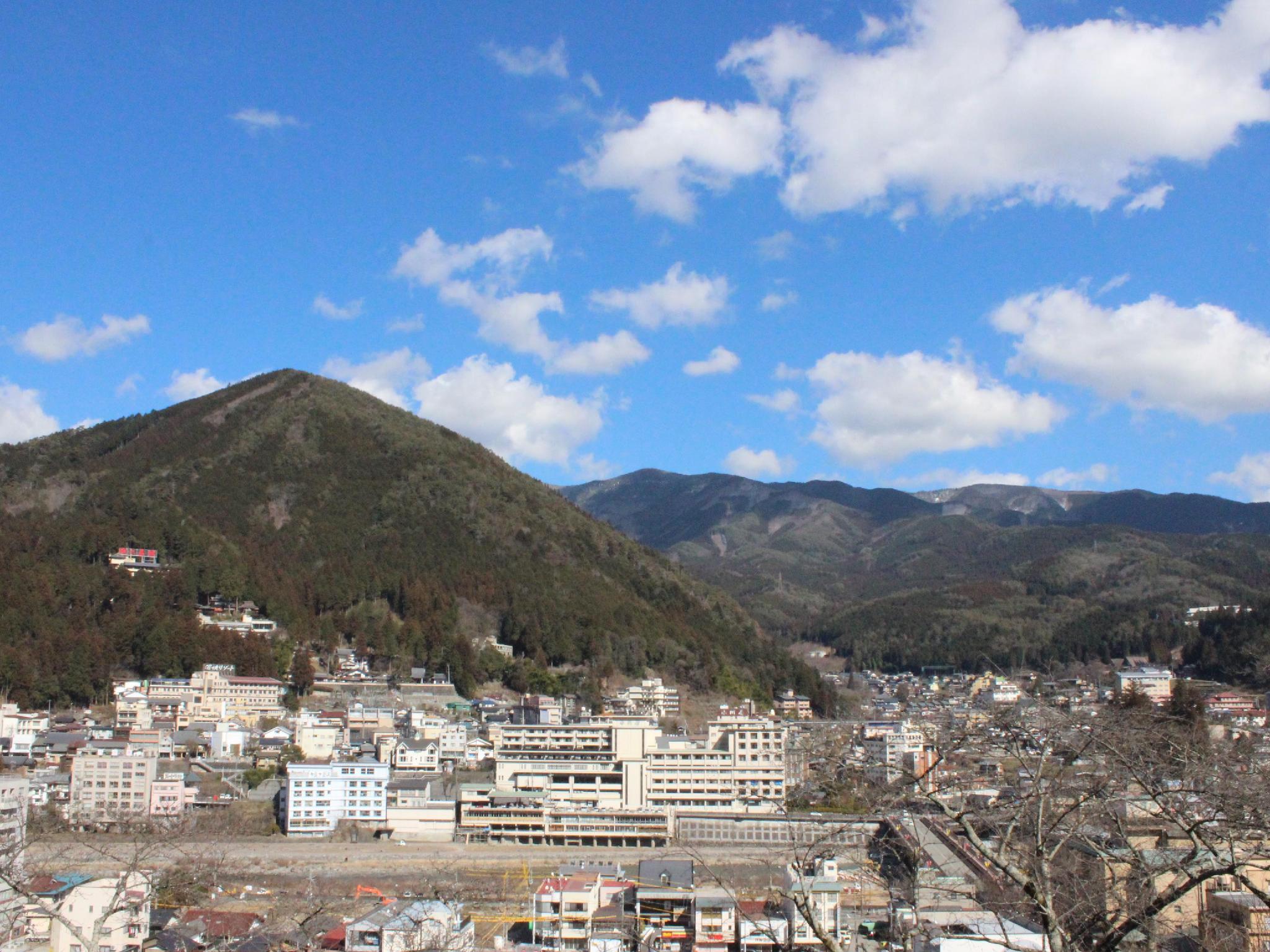 Фото Gero Onsen Tsurutsuru no Yu Minorisou