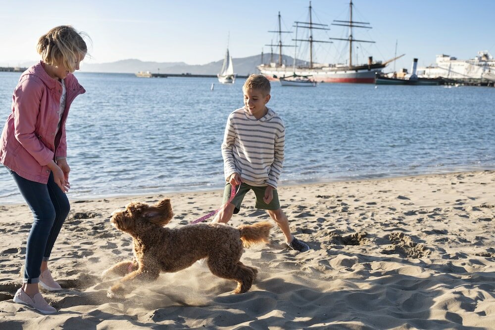 Фото Argonaut Hotel