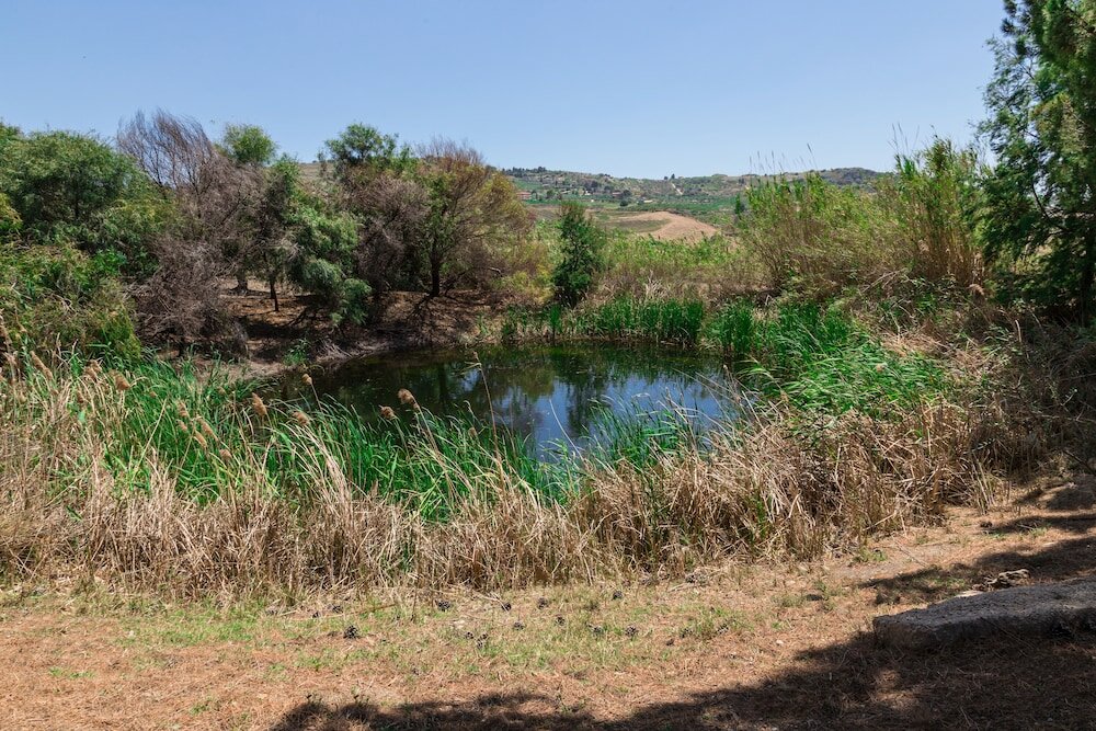 Фото Villa Diana