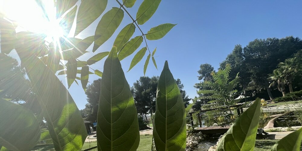 Фото Hotel El Cisne