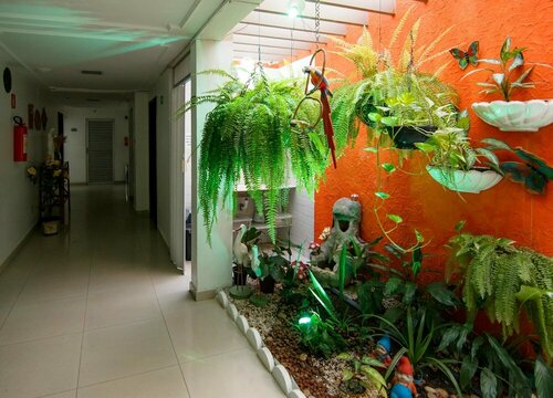 Гостиница Tropico Praia Hotel в Масейо