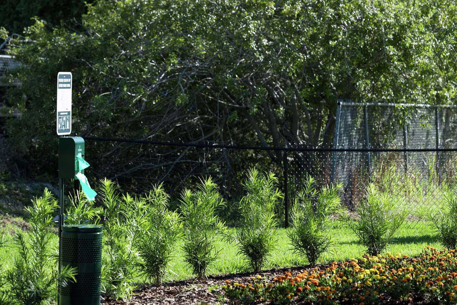 Фото Home2 Suites by Hilton Orlando Airport