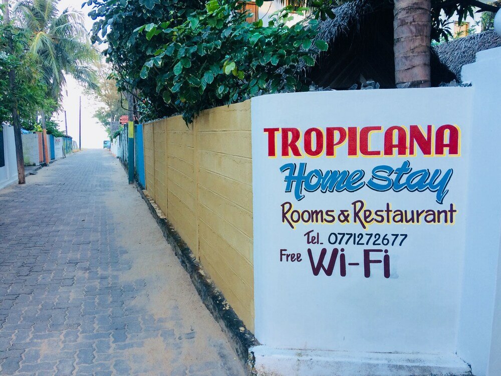 Фото Tropicana homestay