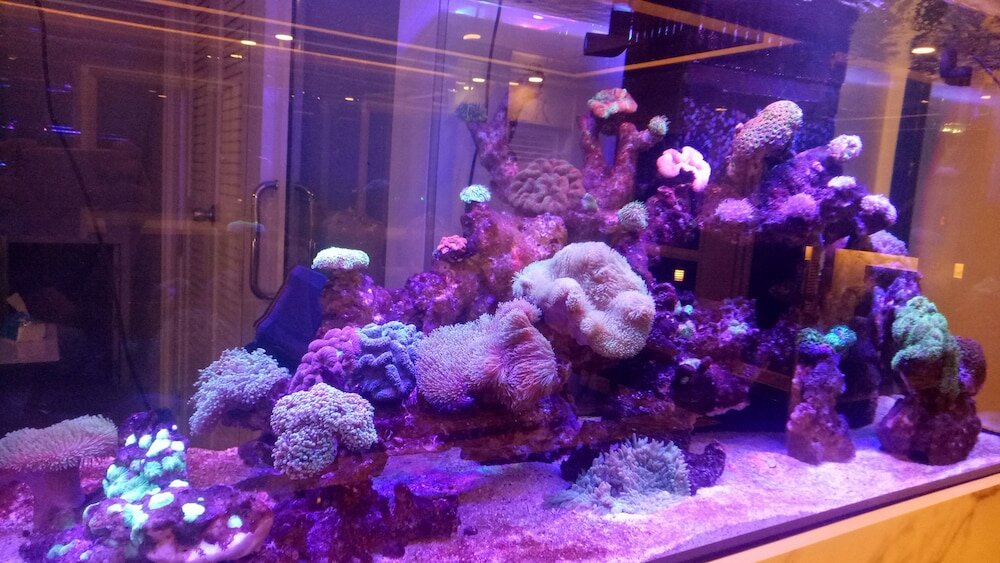 Фото B your home Hotel Donmueang Airport Bangkok